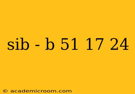 sib - b 51 17 24
