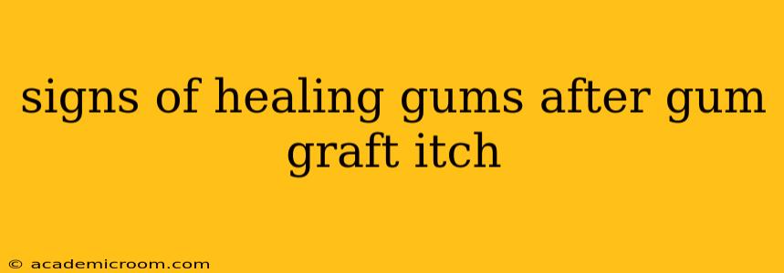 signs of healing gums after gum graft itch