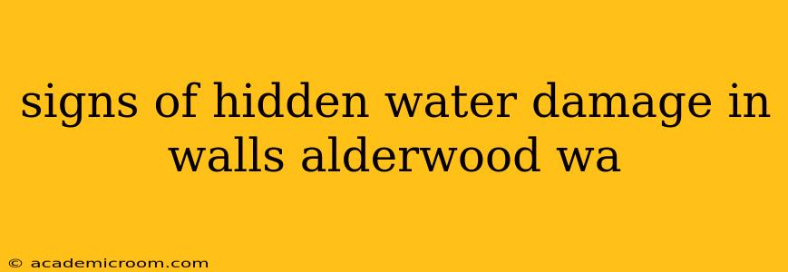 signs of hidden water damage in walls alderwood wa