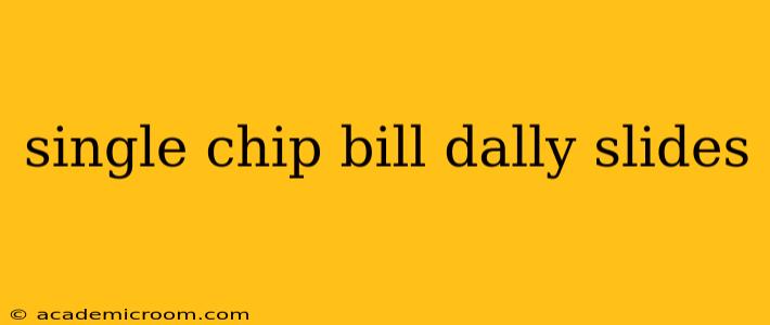 single chip bill dally slides