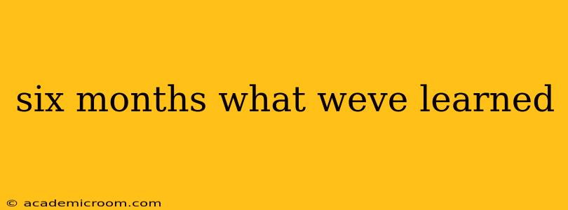 six months what weve learned