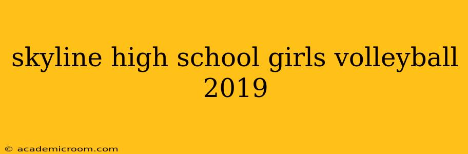 skyline high school girls volleyball 2019