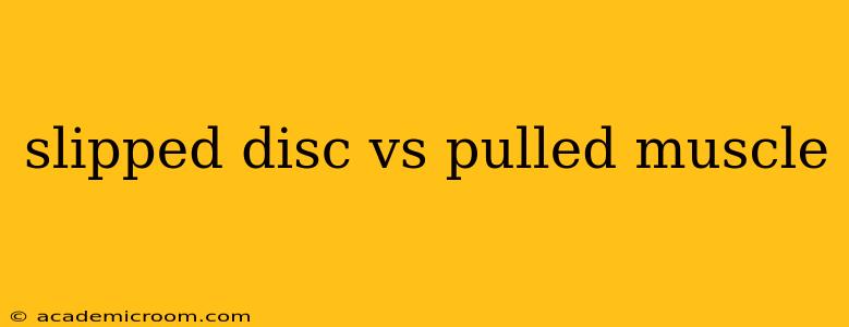 slipped disc vs pulled muscle