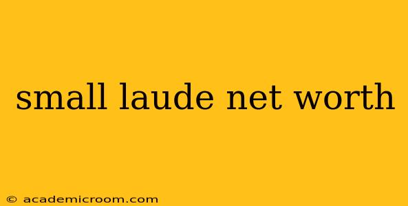 small laude net worth