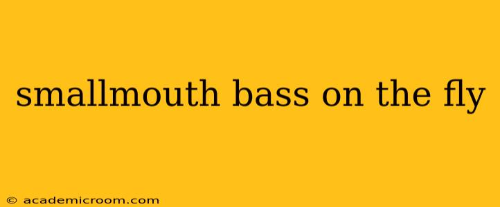 smallmouth bass on the fly