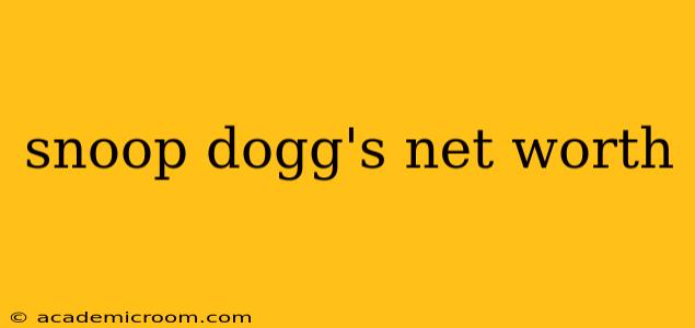 snoop dogg's net worth