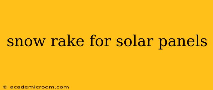 snow rake for solar panels
