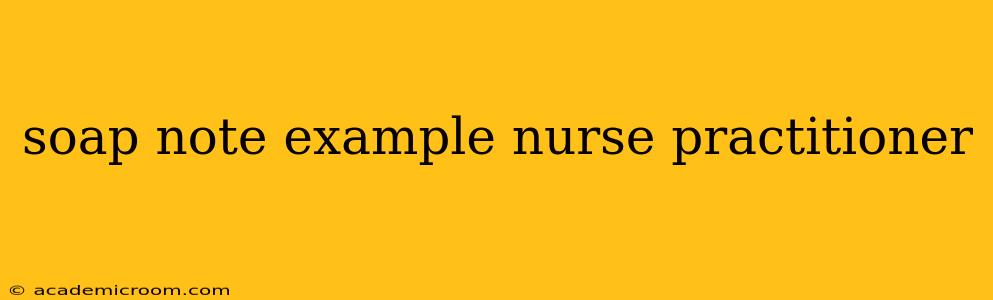soap note example nurse practitioner