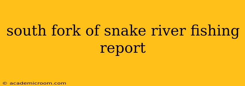south fork of snake river fishing report