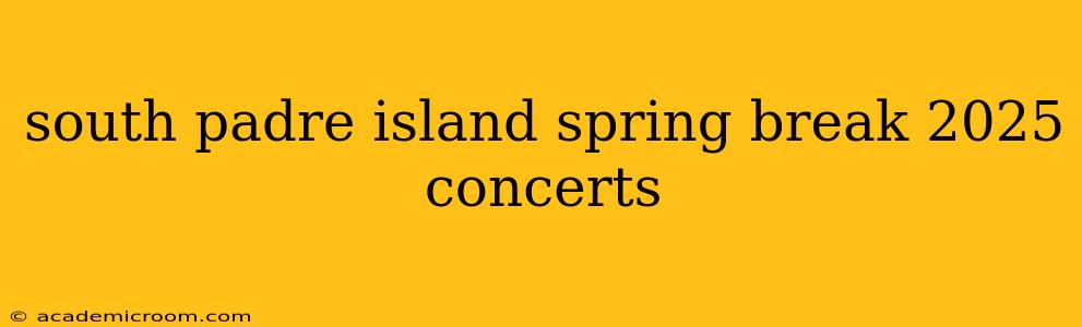south padre island spring break 2025 concerts