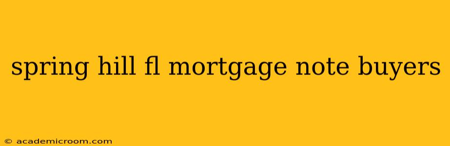 spring hill fl mortgage note buyers