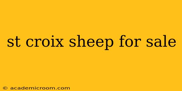 st croix sheep for sale