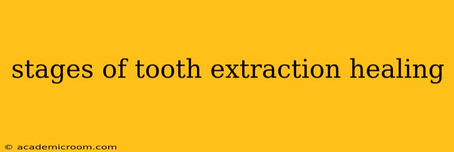stages of tooth extraction healing