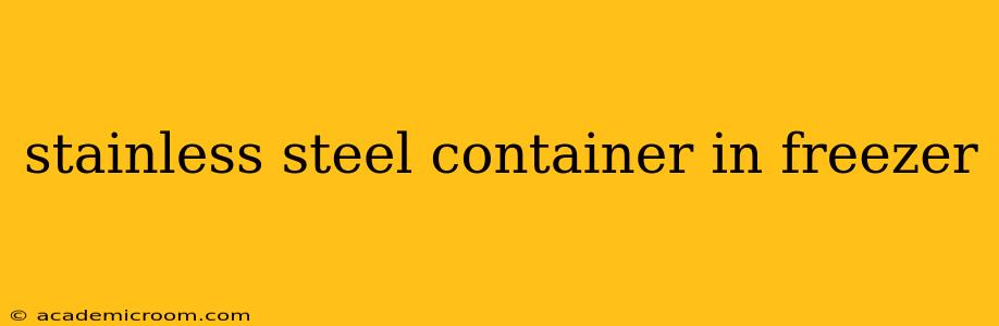 stainless steel container in freezer