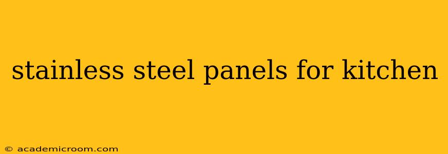 stainless steel panels for kitchen