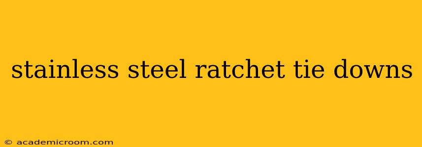 stainless steel ratchet tie downs