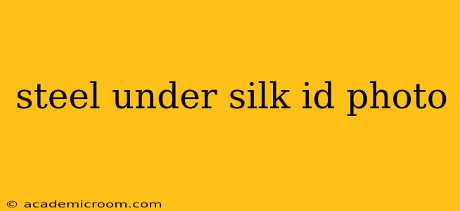 steel under silk id photo