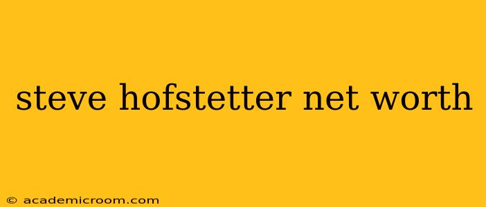 steve hofstetter net worth