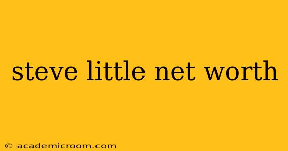 steve little net worth
