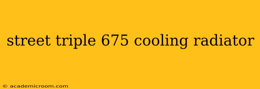 street triple 675 cooling radiator