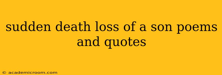 sudden death loss of a son poems and quotes