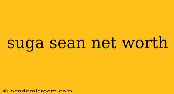 suga sean net worth