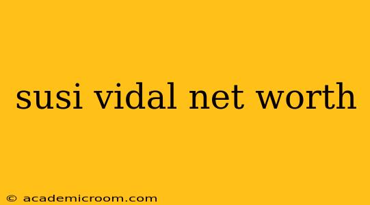 susi vidal net worth