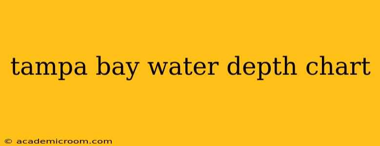 tampa bay water depth chart