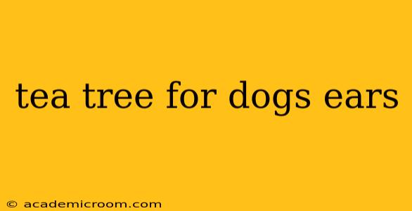 tea tree for dogs ears