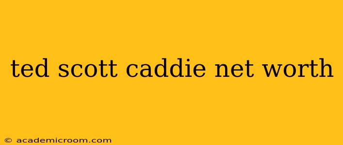 ted scott caddie net worth