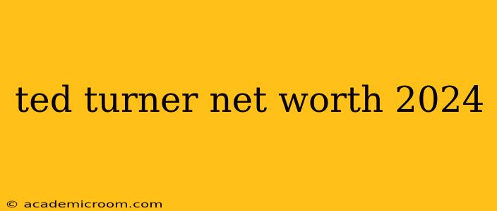 ted turner net worth 2024