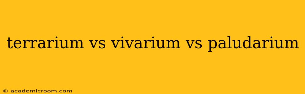 terrarium vs vivarium vs paludarium