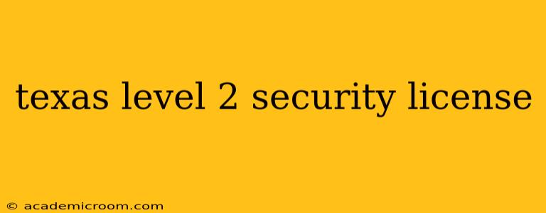 texas level 2 security license