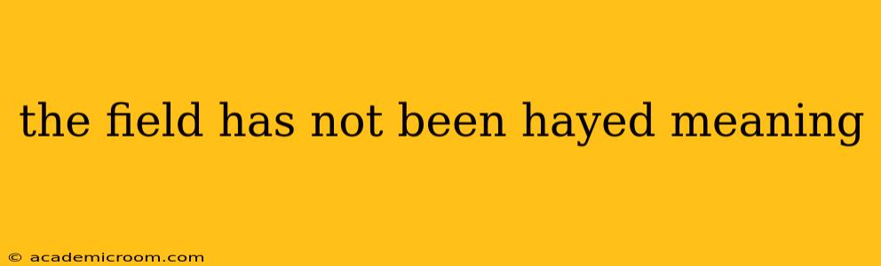 the field has not been hayed meaning