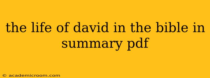 the life of david in the bible in summary pdf