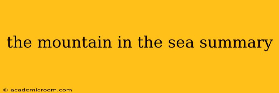 the mountain in the sea summary