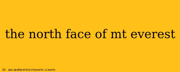 the north face of mt everest