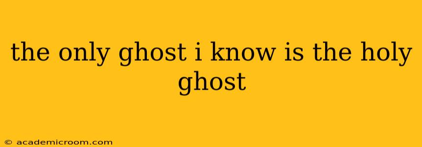 the only ghost i know is the holy ghost