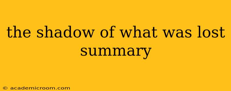 the shadow of what was lost summary