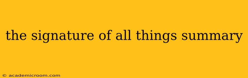 the signature of all things summary