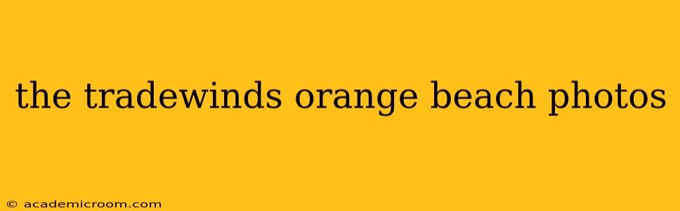 the tradewinds orange beach photos