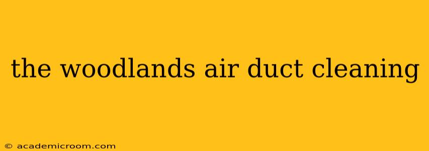 the woodlands air duct cleaning