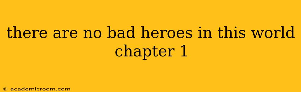 there are no bad heroes in this world chapter 1