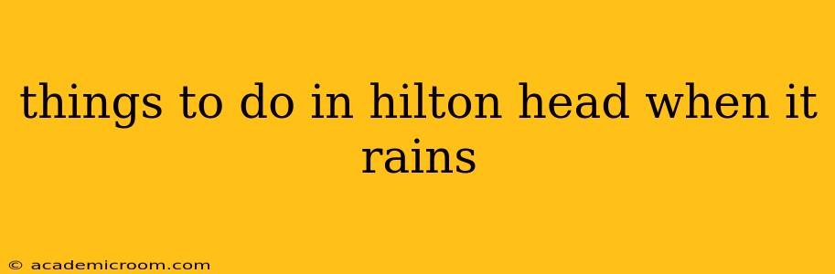 things to do in hilton head when it rains