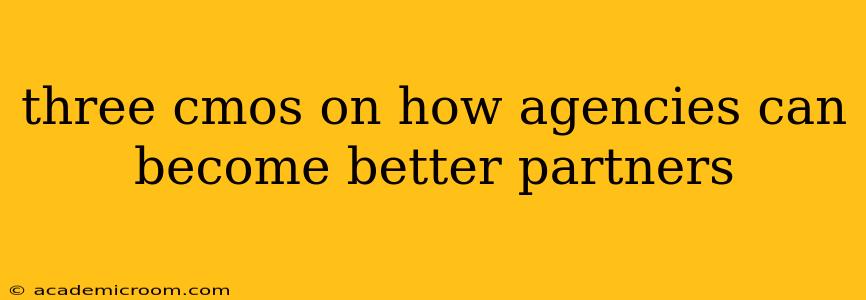 three cmos on how agencies can become better partners