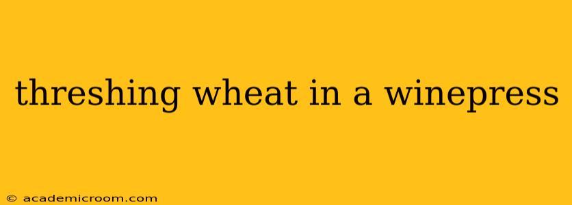 threshing wheat in a winepress