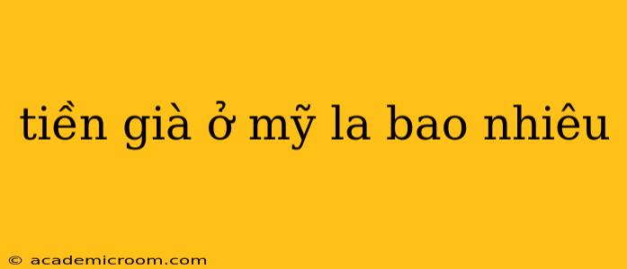 tiền già ở mỹ la bao nhiêu
