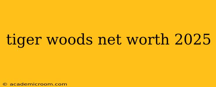 tiger woods net worth 2025