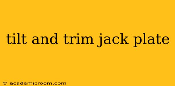 tilt and trim jack plate