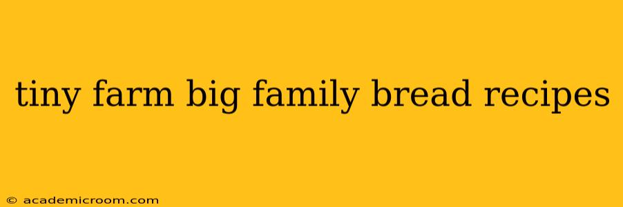 tiny farm big family bread recipes